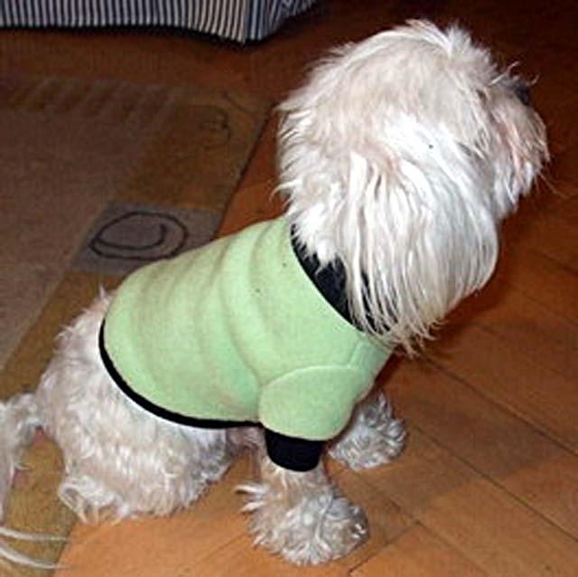 3005